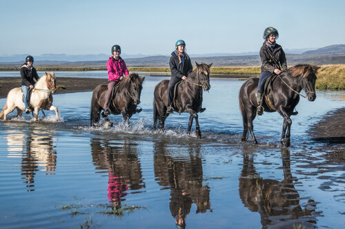 Ta dig ut på en ridtur för att upptäcka Reykjaviks natur!