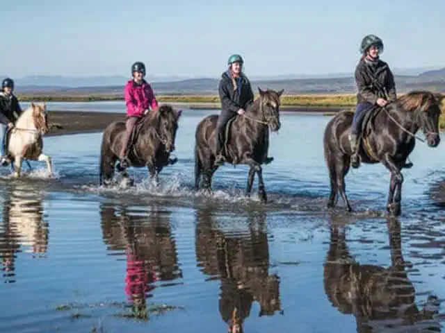 Ta dig ut på en ridtur för att upptäcka Reykjaviks natur!
